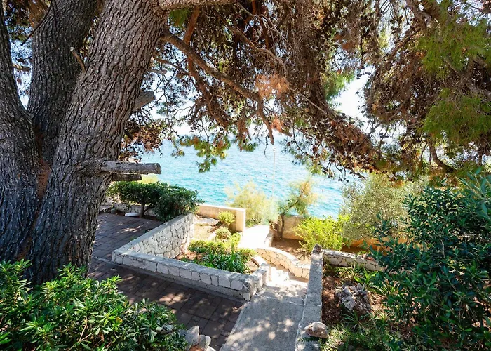 Bok * Trogir